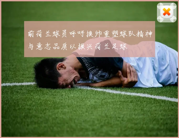 前荷兰球员呼吁换帅重塑球队精神与意志品质以振兴荷兰足球